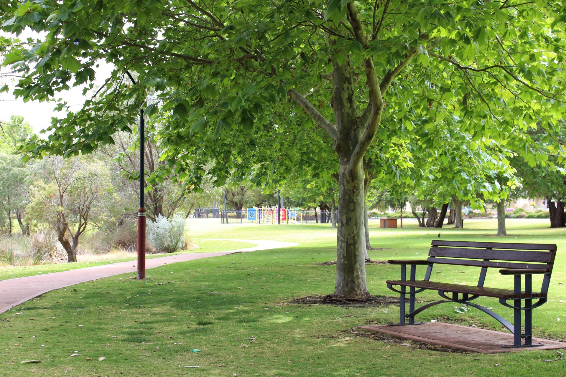 Bench in park