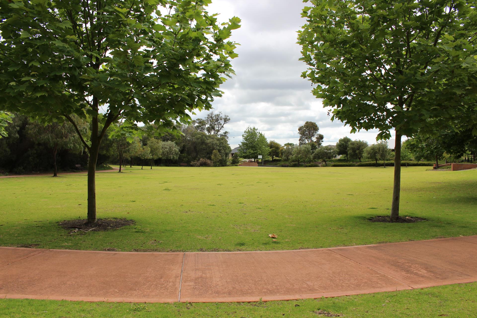 Open grassed area