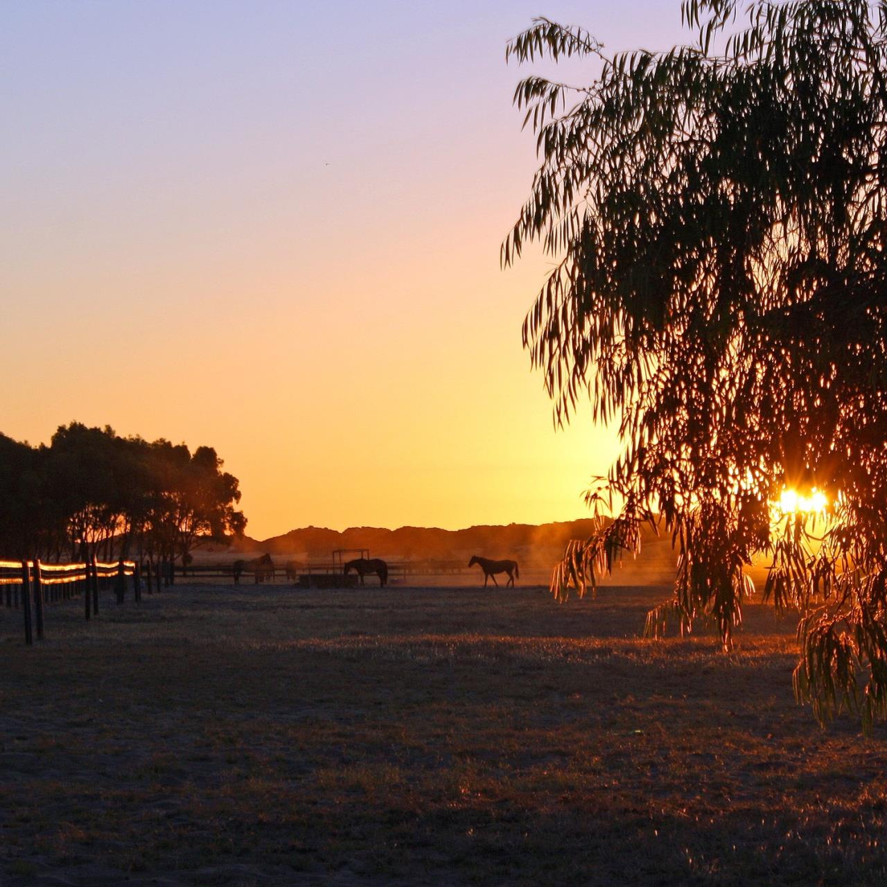 Boyanup
