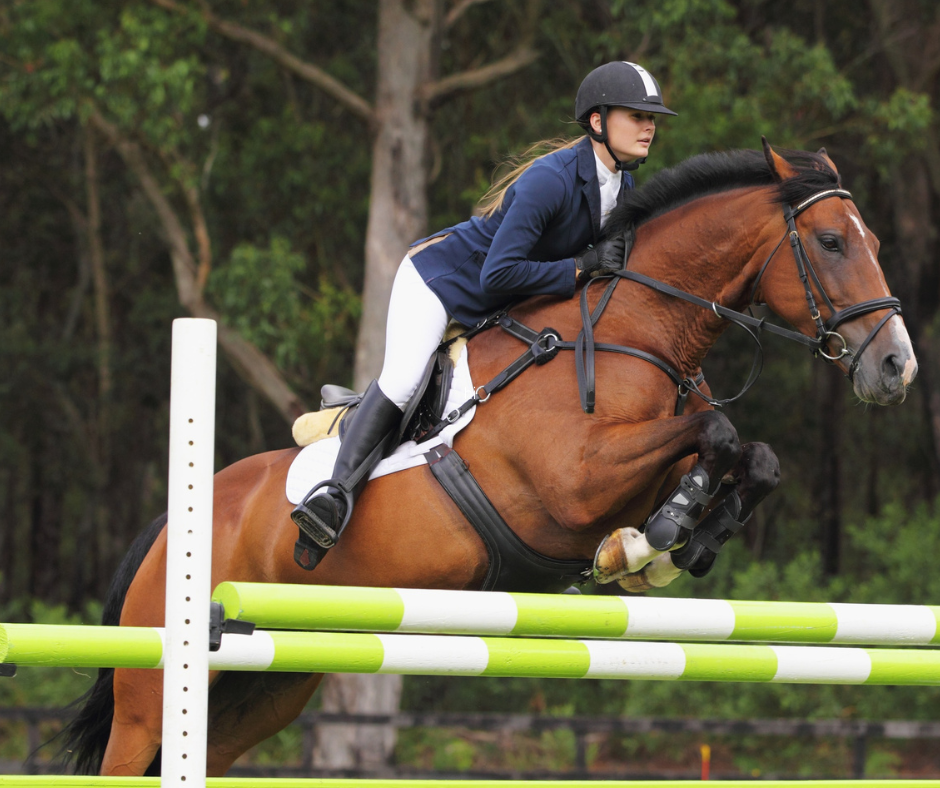 Capel Regional Equestrian Park Image