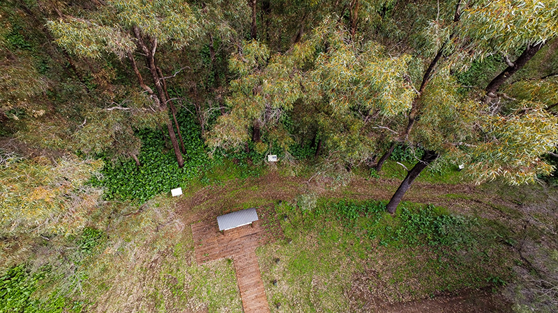 aerial of bush walk track