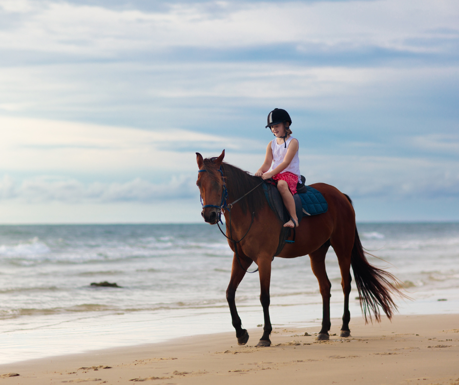 Horse on beach with child rider