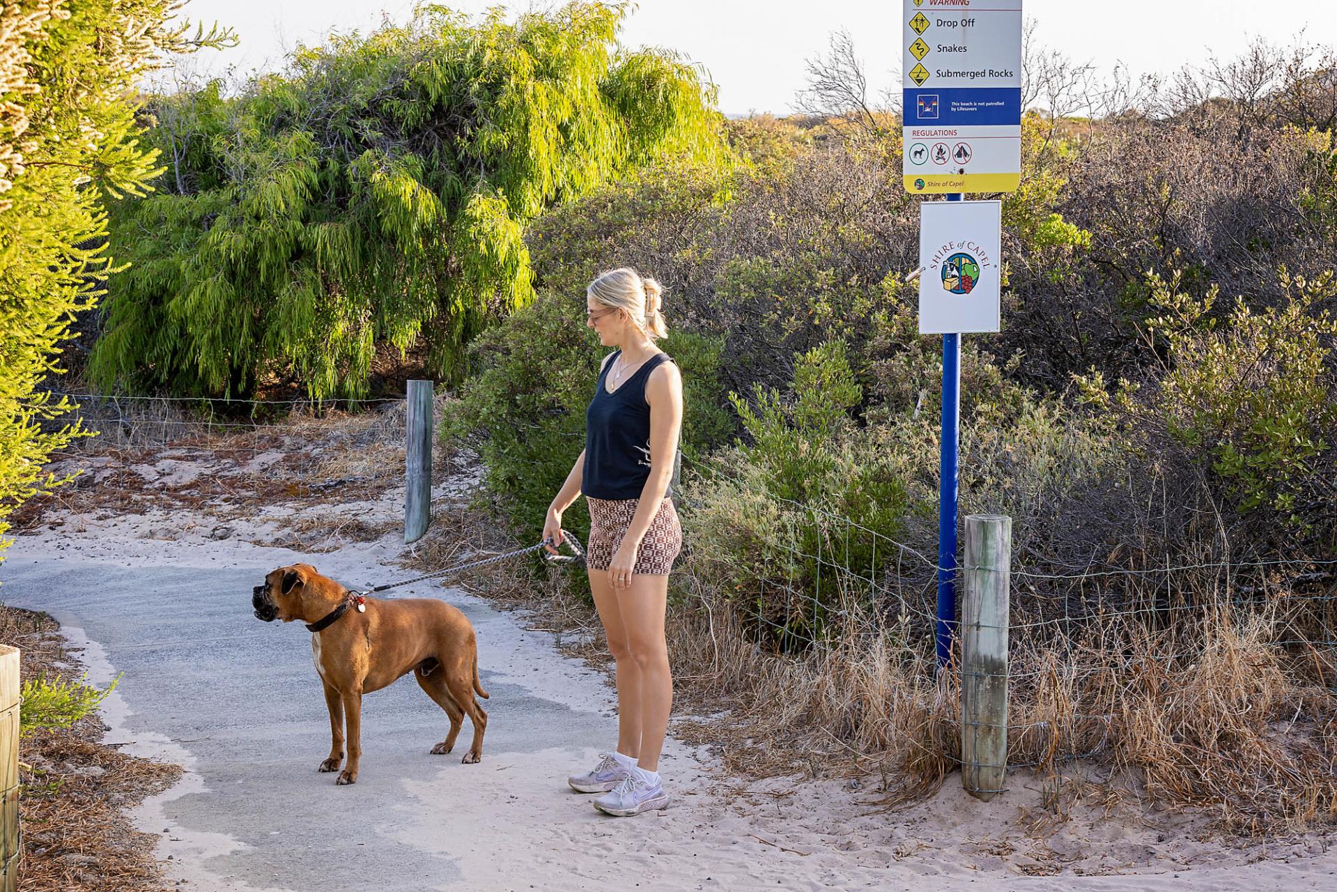 Dog friendly beaches Image